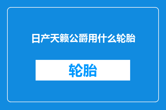 日产天籁公爵用什么轮胎