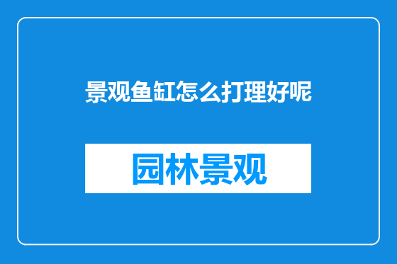 景观鱼缸怎么打理好呢