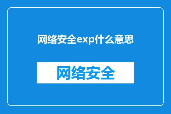 网络安全exp什么意思