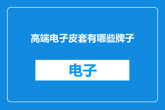 高端电子皮套有哪些牌子