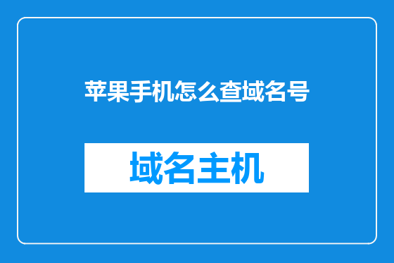苹果手机怎么查域名号