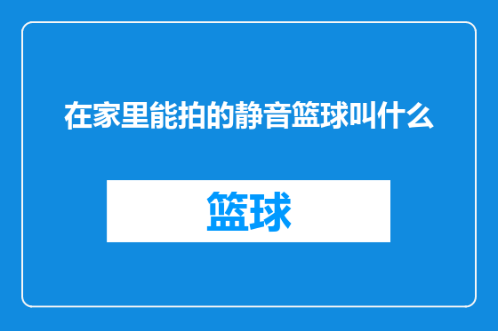 在家里能拍的静音篮球叫什么