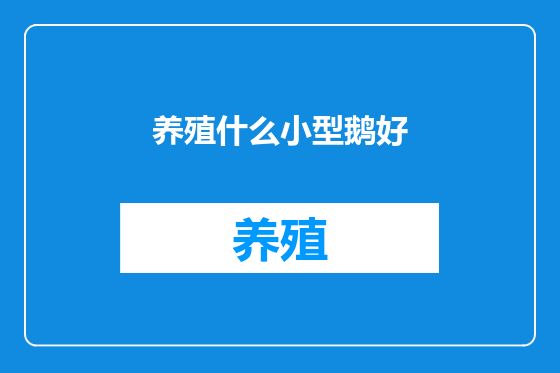 养殖什么小型鹅好
