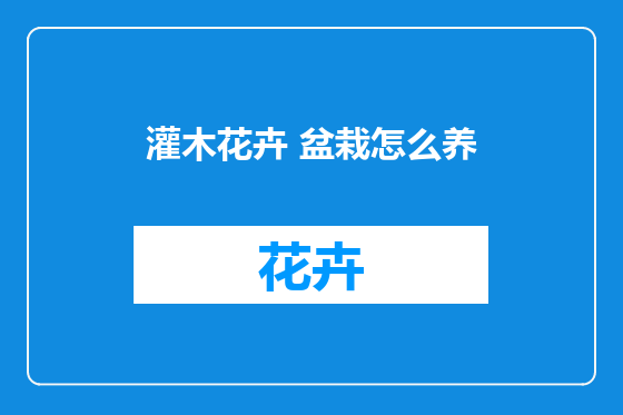 灌木花卉 盆栽怎么养