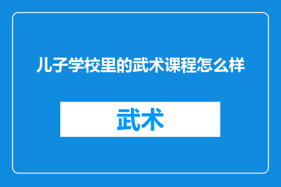 儿子学校里的武术课程怎么样