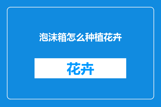 泡沫箱怎么种植花卉