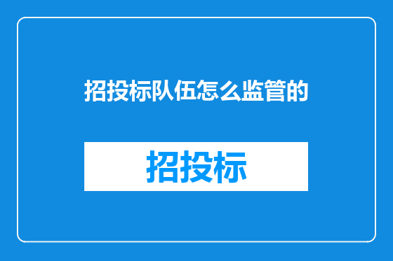 招投标队伍怎么监管的