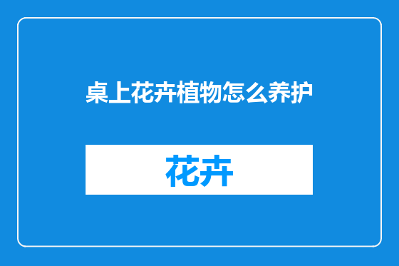 桌上花卉植物怎么养护