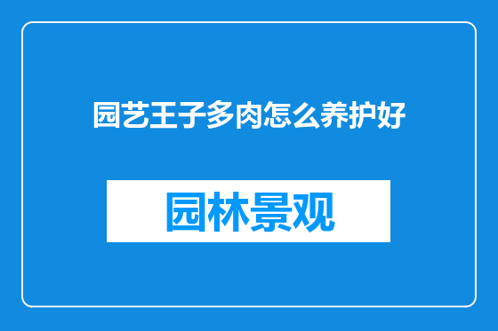 园艺王子多肉怎么养护好