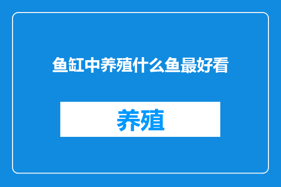 鱼缸中养殖什么鱼最好看