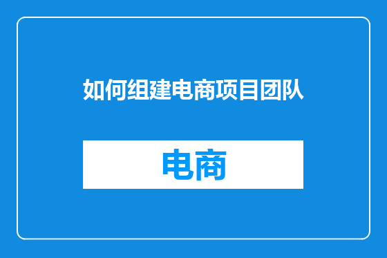 如何组建电商项目团队