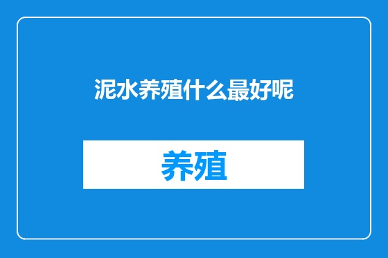 泥水养殖什么最好呢