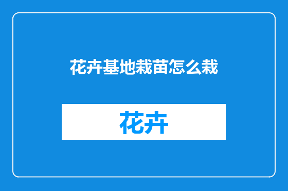 花卉基地栽苗怎么栽