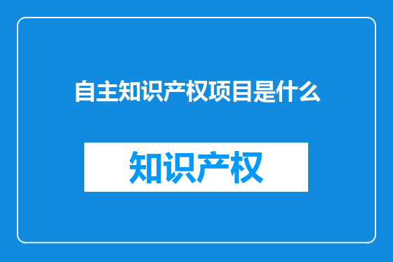 自主知识产权项目是什么
