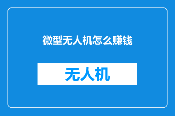 微型无人机怎么赚钱