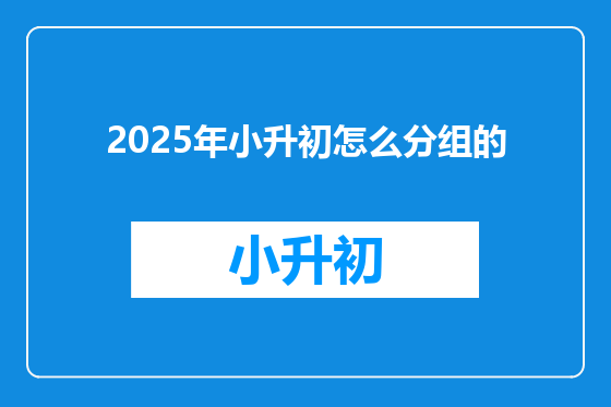 2025年小升初怎么分组的