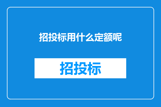 招投标用什么定额呢