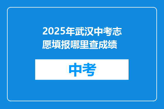 2025年武汉中考志愿填报哪里查成绩