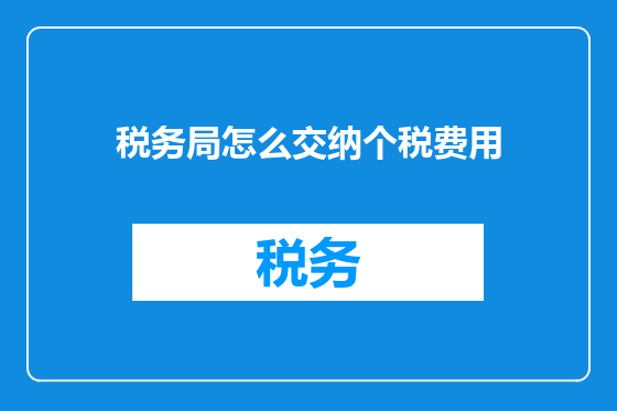 税务局怎么交纳个税费用