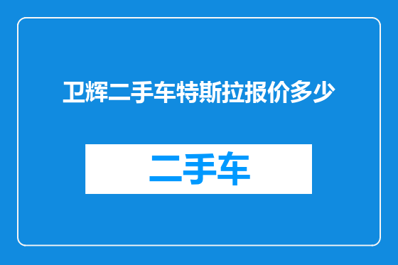 卫辉二手车特斯拉报价多少