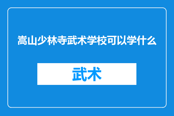 嵩山少林寺武术学校可以学什么