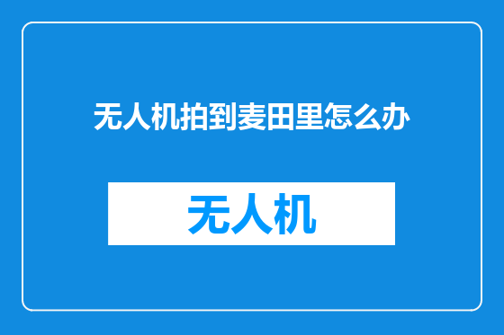 无人机拍到麦田里怎么办