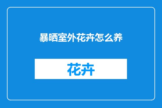 暴晒室外花卉怎么养