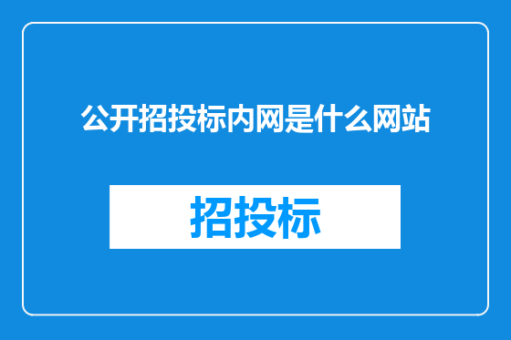 公开招投标内网是什么网站