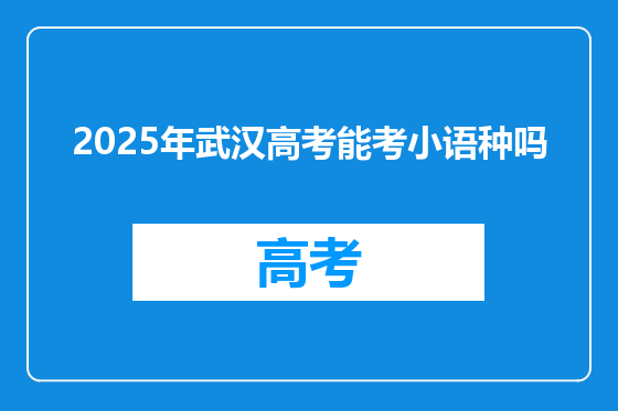 2025年武汉高考能考小语种吗