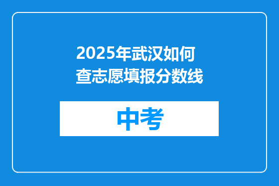 2025年武汉如何查志愿填报分数线