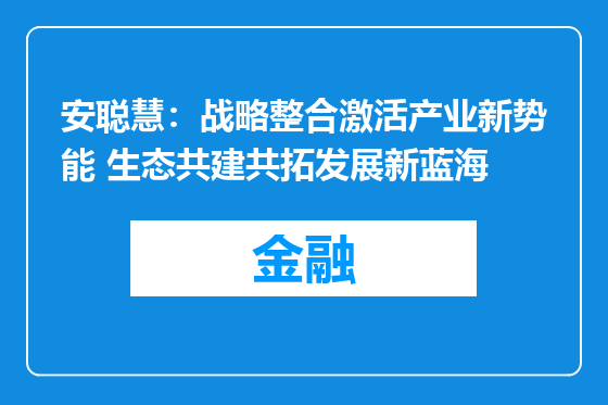 安聪慧：战略整合激活产业新势能 生态共建共拓发展新蓝海