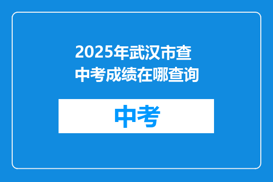 2025年武汉市查中考成绩在哪查询