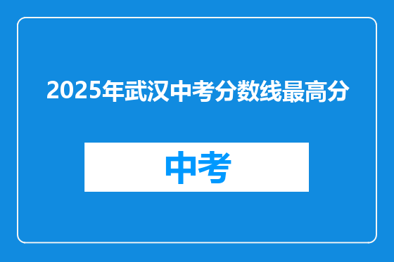 2025年武汉中考分数线最高分