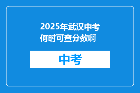 2025年武汉中考何时可查分数啊