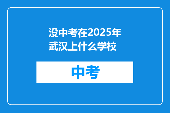 没中考在2025年武汉上什么学校