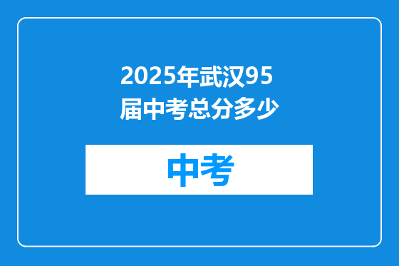 2025年武汉95届中考总分多少