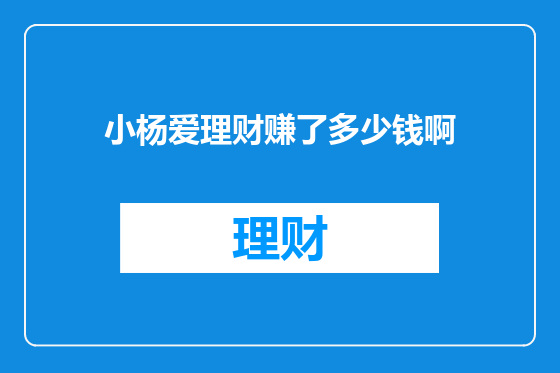 小杨爱理财赚了多少钱啊