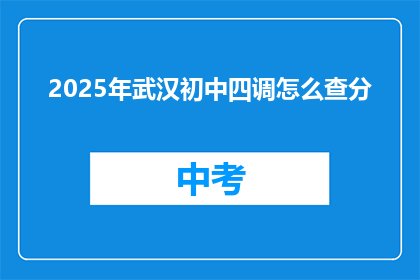 2025年武汉初中四调怎么查分