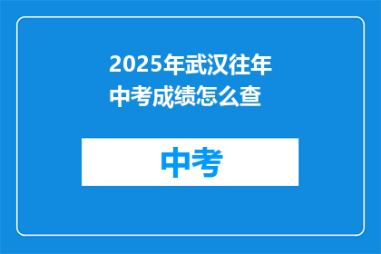 2025年武汉往年中考成绩怎么查
