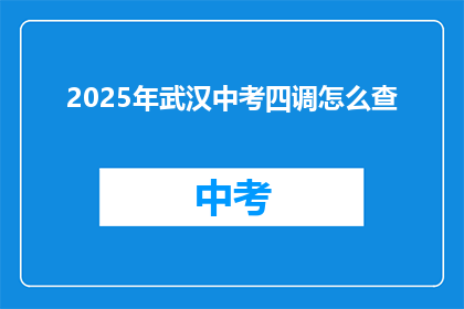 2025年武汉中考四调怎么查