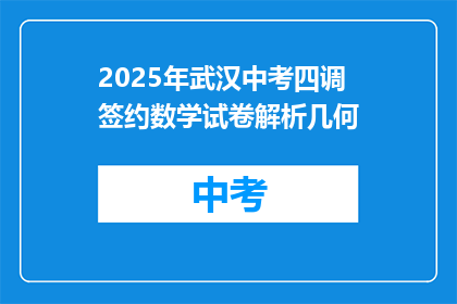 2025年武汉中考四调签约数学试卷解析几何
