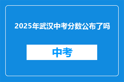 2025年武汉中考分数公布了吗