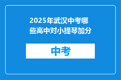 2025年武汉中考哪些高中对小提琴加分