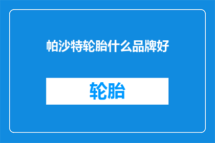 帕沙特轮胎什么品牌好