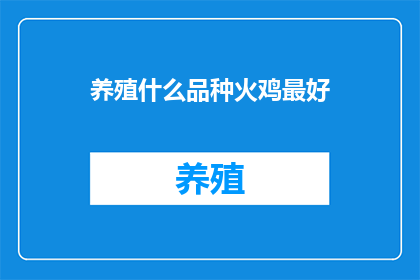 养殖什么品种火鸡最好