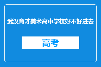 武汉育才美术高中学校好不好进去