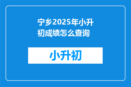 宁乡2025年小升初成绩怎么查询