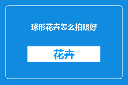 球形花卉怎么拍照好