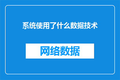 系统使用了什么数据技术