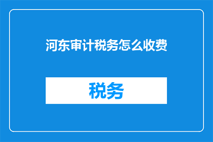 河东审计税务怎么收费